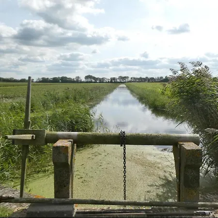 Dom wakacyjny Het Zeepaard 2 Dirkshorn