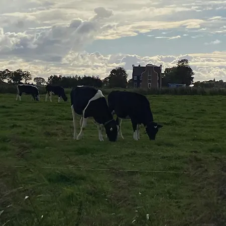 Het Zeepaard 2 Dirkshorn